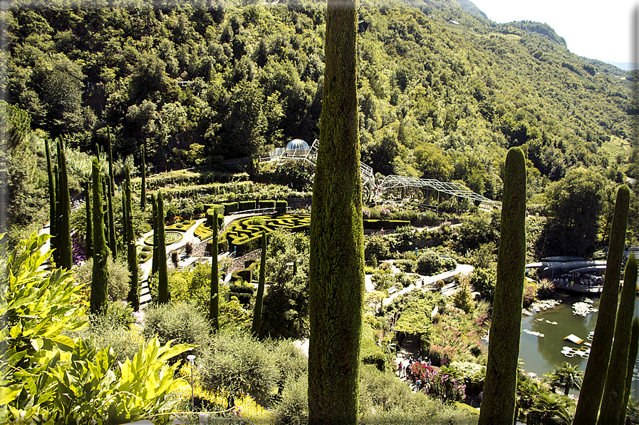 foto Giardini Trauttmansdorff - Giardini del Sole